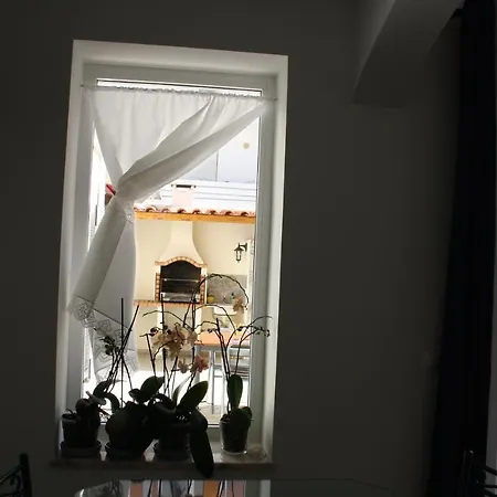 House Of Orchids With Patio Apartment